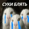 ❤️ Эмодзи «Капчони и пабло гандони» для Telegram