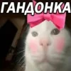 ❤️ Эмодзи «Капчони и пабло гандони» для Telegram