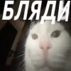 ❤️ Эмодзи «Капчони и пабло гандони» для Telegram