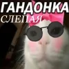 ❤️ Эмодзи «Капчони и пабло гандони» для Telegram