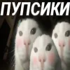 ❤️ Эмодзи «Капчони и пабло гандони» для Telegram