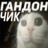 ❤️ Эмодзи «Капчони и пабло гандони» для Telegram