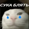 ❤️ Эмодзи «Капчони и пабло гандони» для Telegram