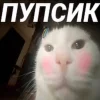 ❤️ Эмодзи «Капчони и пабло гандони» для Telegram