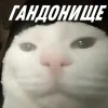 ❤️ Эмодзи «Капчони и пабло гандони» для Telegram