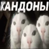 ❤️ Эмодзи «Капчони и пабло гандони» для Telegram