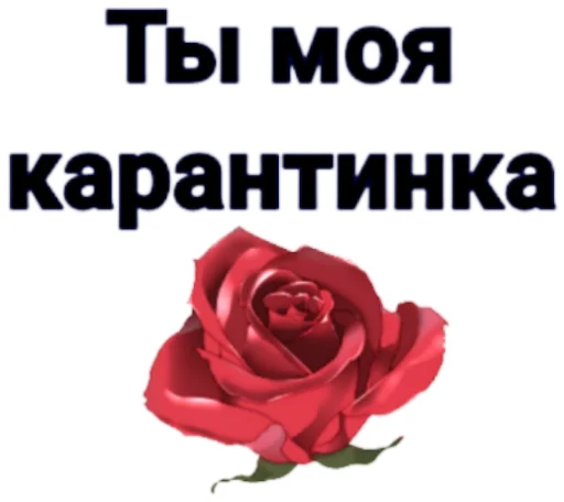 КарантинКа