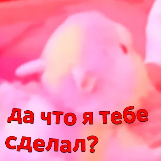 🤕 Стикер «kareyka» для Telegram