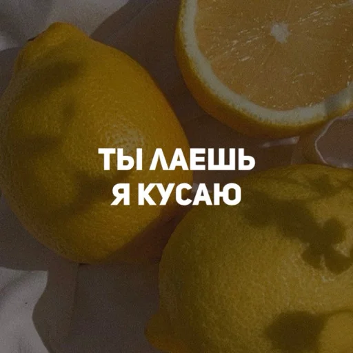 😎 Стикер «карман» для Telegram