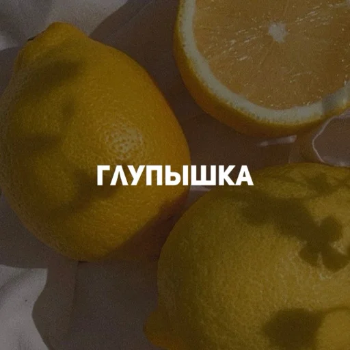 Стикерпак карман для Telegram — скачать