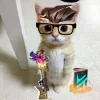 🤩 Эмодзи «Чембер» для Telegram