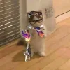 🤩 Эмодзи «Чембер» для Telegram