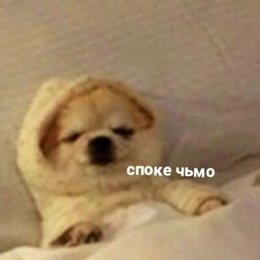 ✨ Стикер «💕💕💕» для Telegram