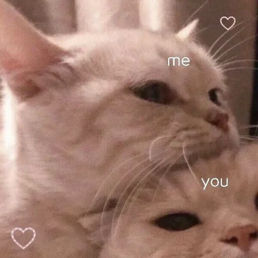 ♥️ Стикер «💕💕💕» для Telegram