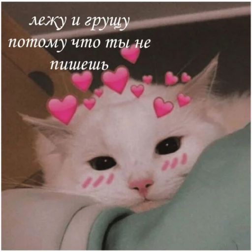 Стикерпак kartinochki meow 8 для Telegram — скачать