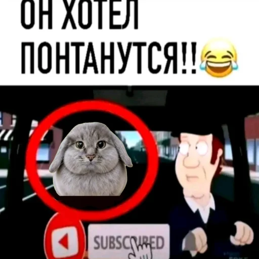🐱 Стикер «катафеи» для Telegram