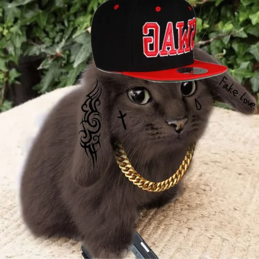 🐱 Стикер «катафеи» для Telegram