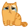😢 Эмодзи «😌 Кот Персик» для Telegram
