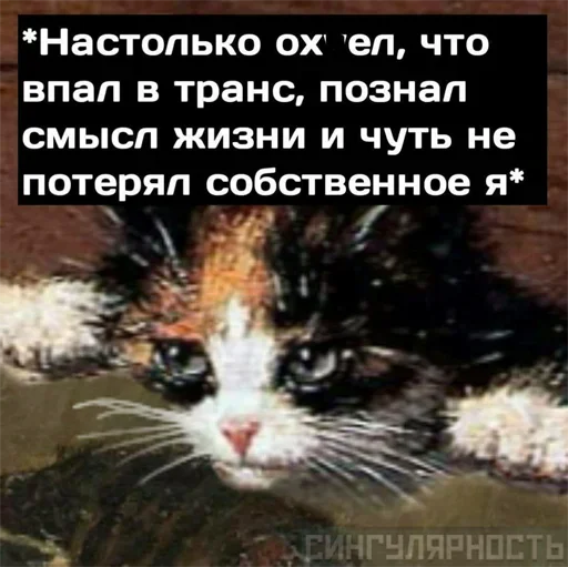 🥺 Стикер «Катись ты нахер» для Telegram