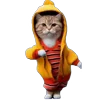 🤩 Эмодзи «Kawaii Webm» для Telegram