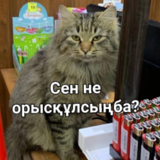😒 Стикер «Бірінші пак» для Telegram