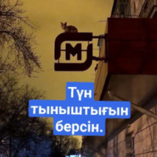 🌃 Стикер «Бірінші пак» для Telegram