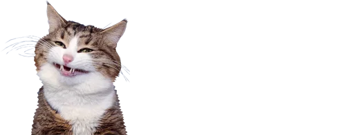 😂 Стикер «microcats» для Telegram