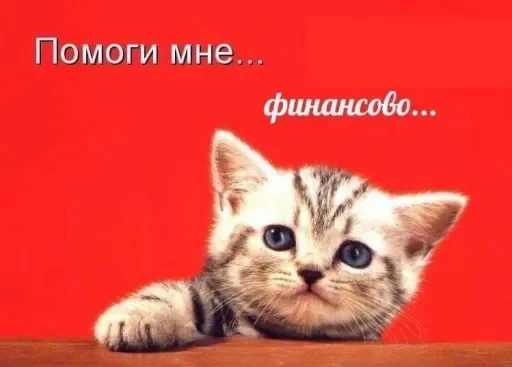 💰 Стикер «раздал стиля» для Telegram