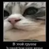 🤨 Эмодзи «🍎 Кекисы #1» для Telegram