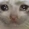 😿 Эмодзи «🍎 Кекисы #1» для Telegram