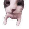 😽 Эмодзи «Ещё Кекисы» для Telegram