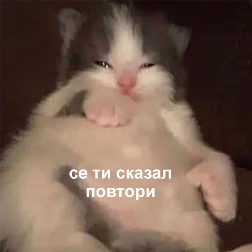 😑 Стикер «Кекольников» для Telegram