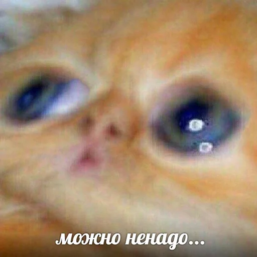 😨 Стикер «Кекольников» для Telegram