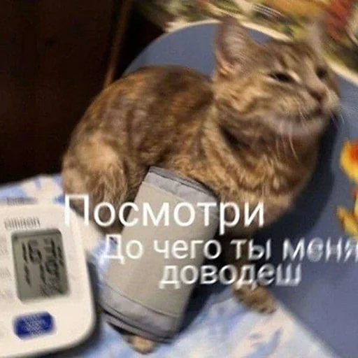😡 Стикер «Кекольников» для Telegram