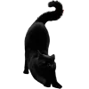 🐱 Эмодзи «Хэллоуин Tg» для Telegram