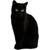 🐱 Эмодзи «Хэллоуин Tg» для Telegram