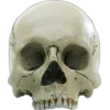 🤩 Эмодзи «🤩 Halloween» для Telegram