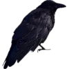 🤩 Эмодзи «🤩 Halloween» для Telegram