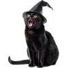 🤩 Эмодзи «🤩 Halloween» для Telegram