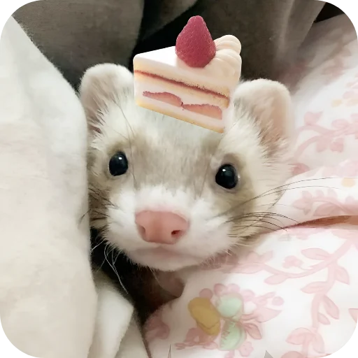 🥰 Стикер «Хорьки» для Telegram