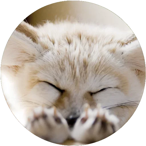❤ Стикер «Kids Animals» для Telegram