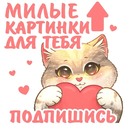 Стикерпак летние котики для Telegram — скачать