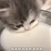 🌟 Эмодзи «🌟 убивашки - killcore emoji» для Telegram