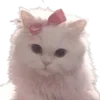 🌟 Эмодзи «🌟 убивашки - killcore emoji» для Telegram