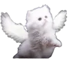 🌟 Эмодзи «🌟 убивашки - killcore emoji» для Telegram