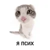 🌟 Эмодзи «🌟 убивашки - killcore emoji» для Telegram