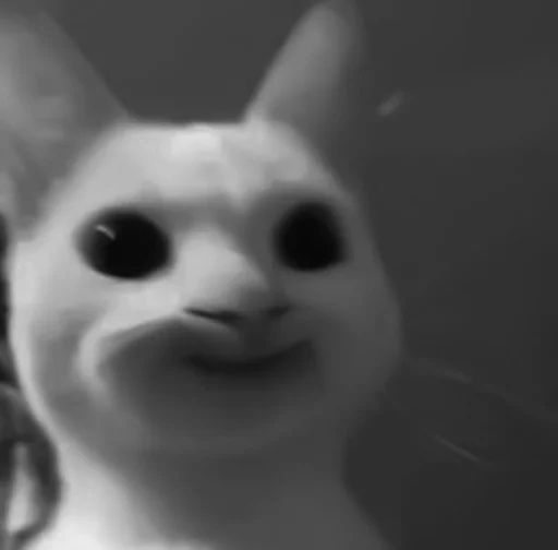 🐈‍⬛️ Стикер «котики няшки» для Telegram