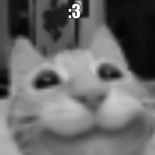 🐈‍⬛️ Стикер «котики няшки» для Telegram