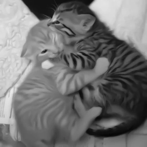 🐈‍⬛️ Стикер «котики няшки» для Telegram