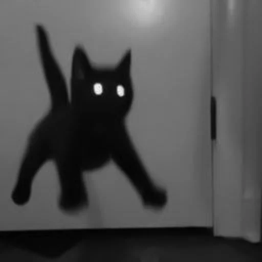 🐈‍⬛️ Стикер «котики няшки» для Telegram